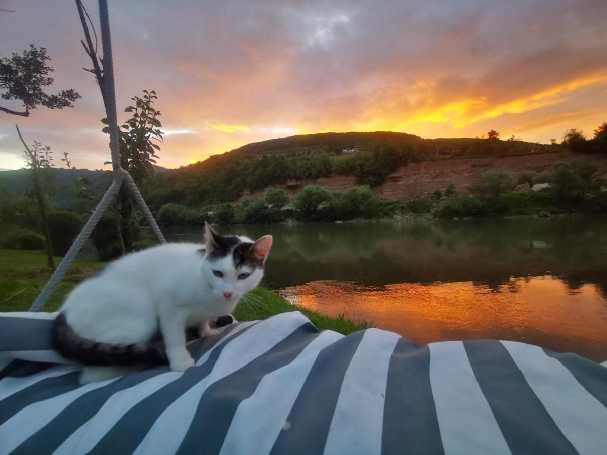 Prenociste Na Drini Foca Bed & Breakfast Dış mekan fotoğraf